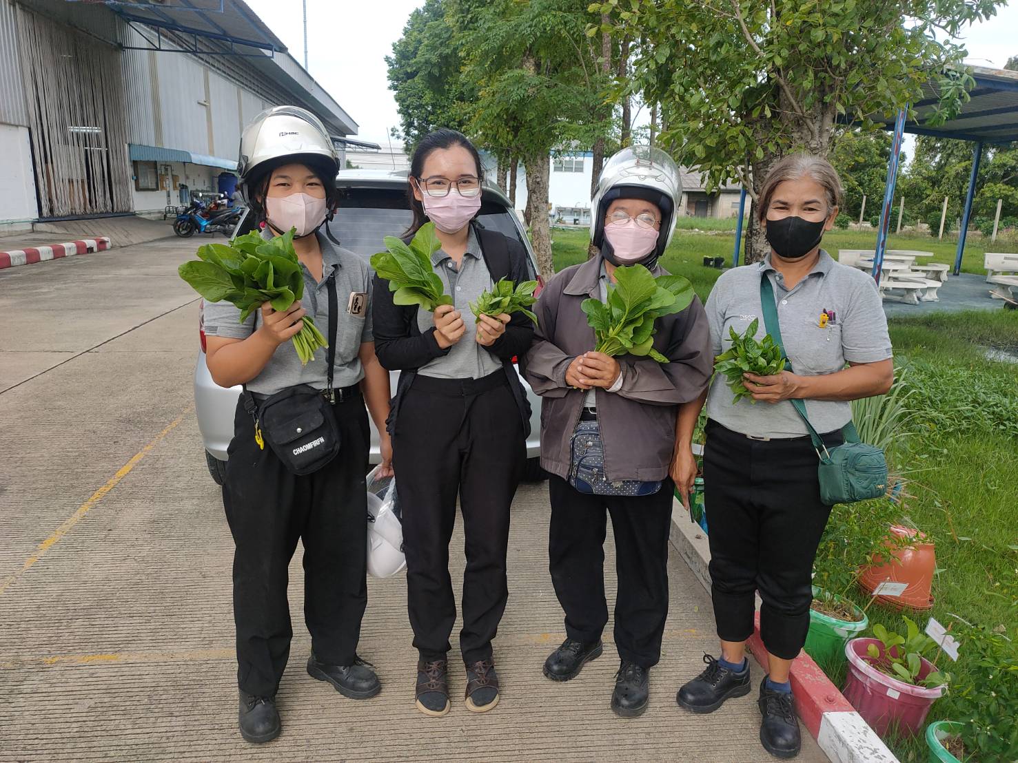 ภาพประกอบ