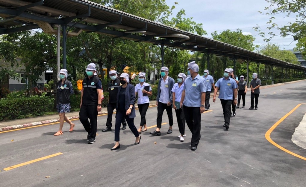 ภาพประกอบ